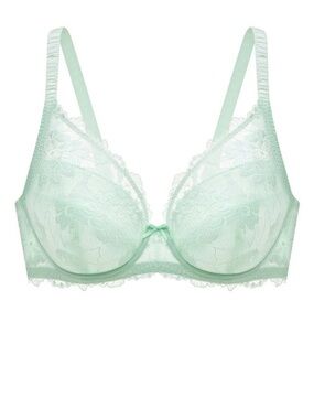 Understance Annette FlexWire Padded Plunge Lace Bra Aqua 40DD